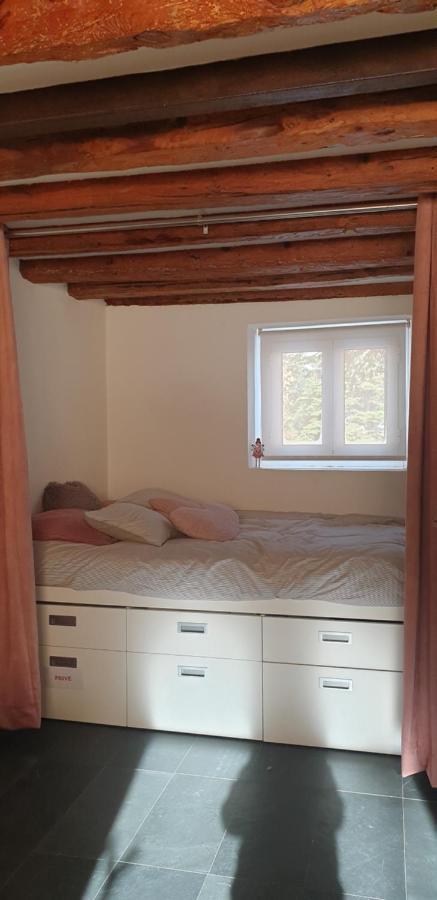Studio Montagne Cerdagne A סאיאגוז מראה חיצוני תמונה